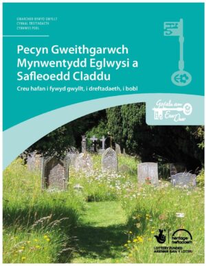 Pecyn Gweithgarwch