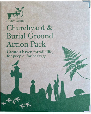 burial ground action pack cover