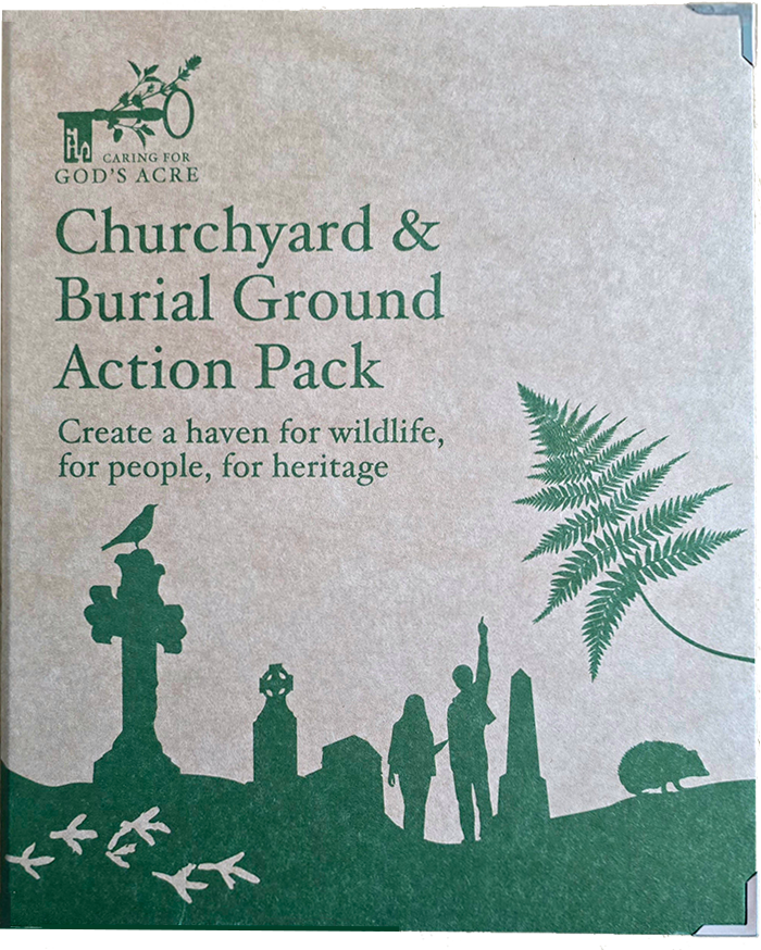 burial ground action pack cover