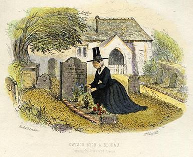 immortelles on graves