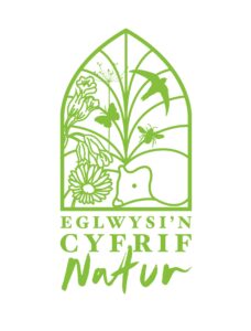 CCoN logo welsh