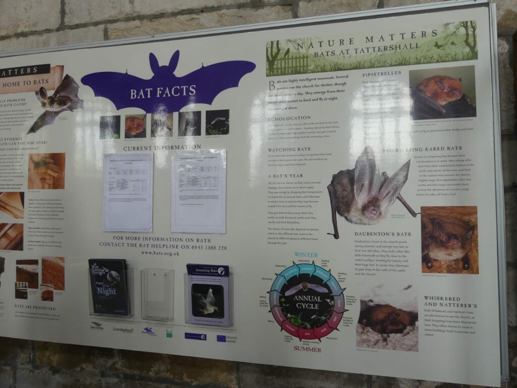Bats in Churches noticeboard