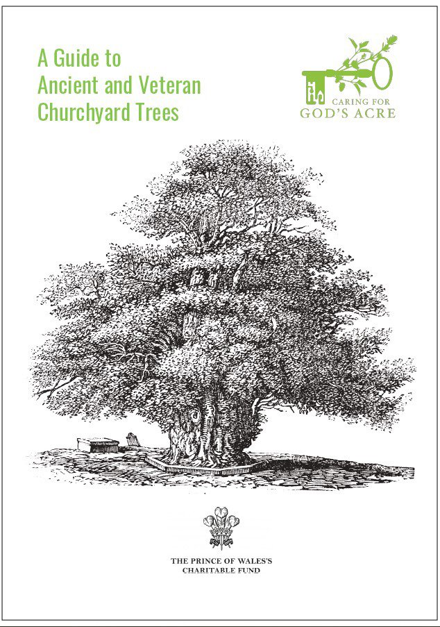 A guide to ancient and veteran churchyard trees