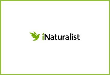 iNaturalist logo