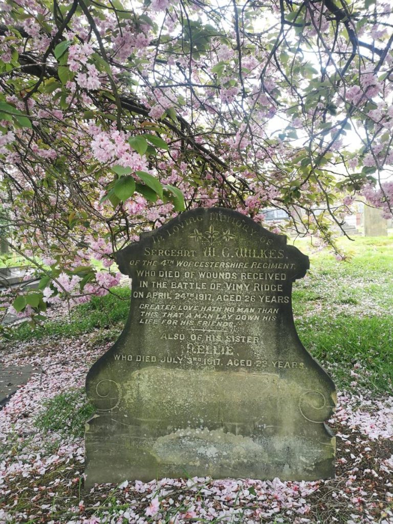 Spring blossom in Warstone Lane