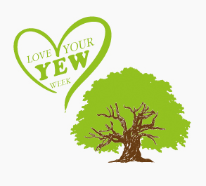 love your yew logo