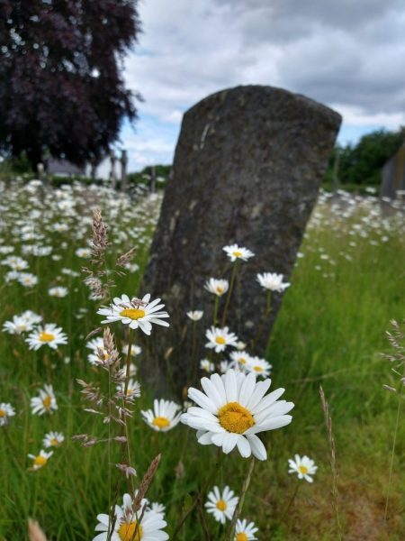 Buttington Cemetery, Buttington